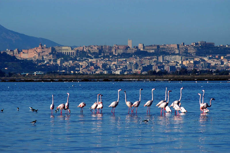 04.2014: Francesca Giona - cagliari (ca)